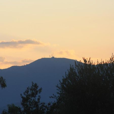 La Quercia Agriturismo 因佩里亚 外观 照片